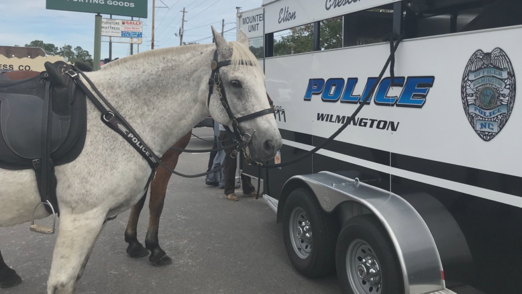 Officer Comet has been with the WPD Mounted Patrol Unit for 20 years. (Courtesy: WPD)