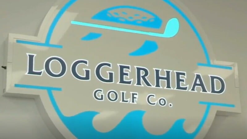 Loggerhead