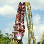 Amusement Park Death
