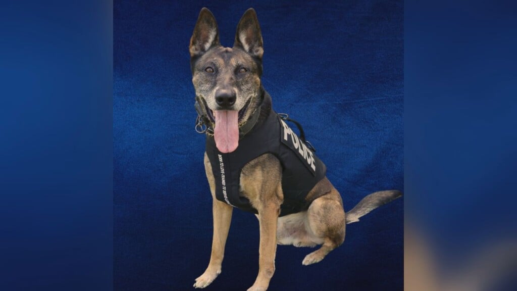 K9 Blu