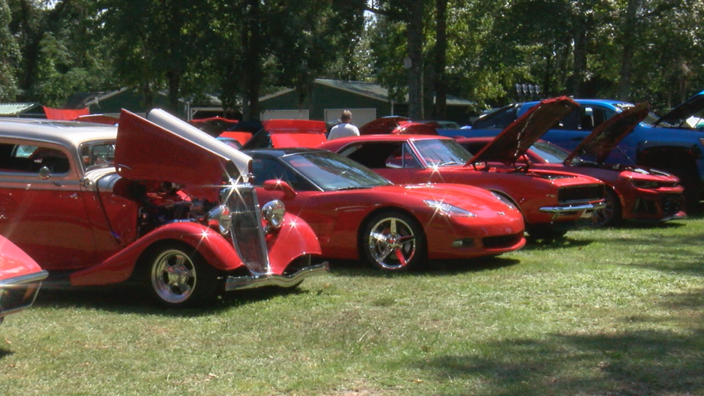 Cars In The Park