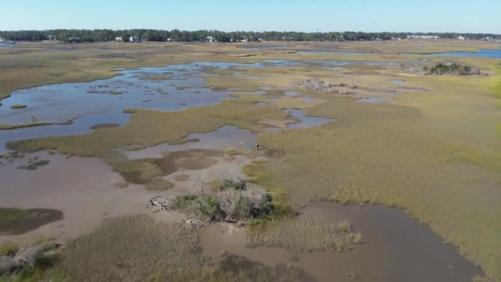 Skydiver Needed Rescue After Landing In Coastal Marsh Near Oak Island