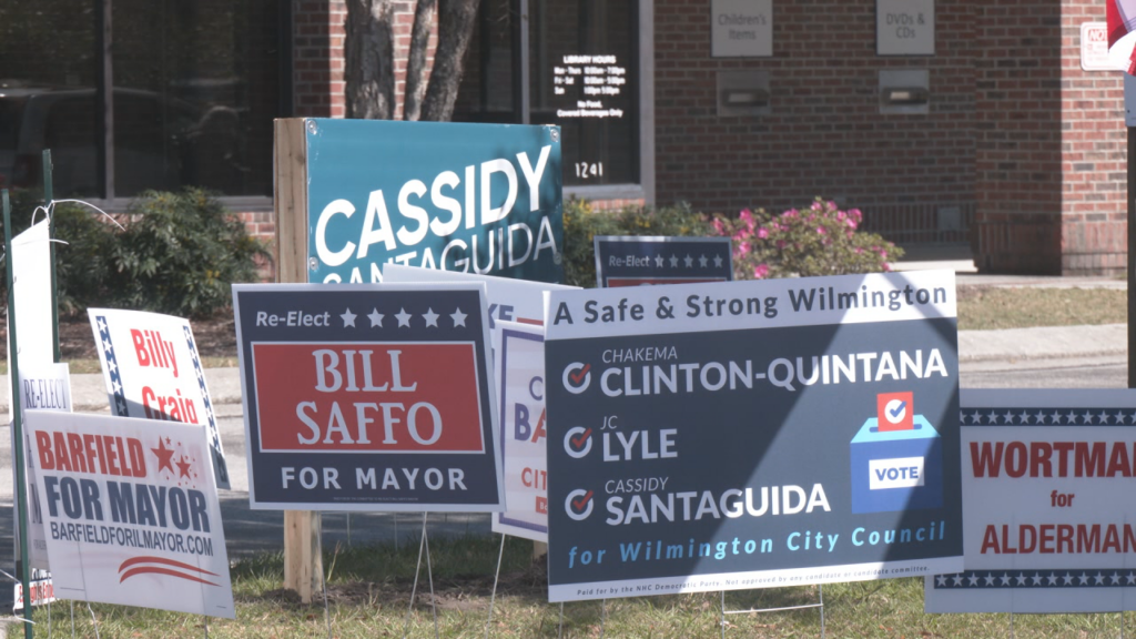 Early Voting Pic