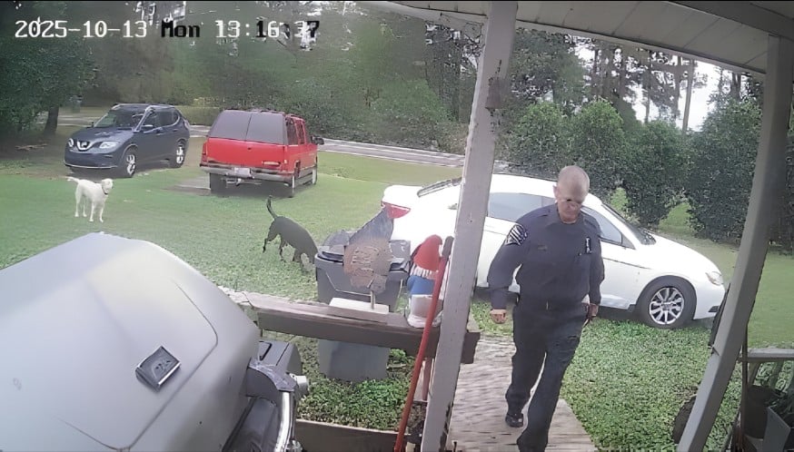 68ee9e3f82eac Animal Control