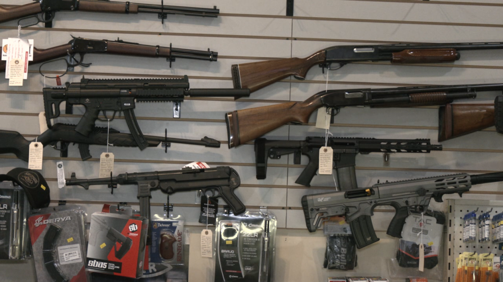 Gun Mental Health Pic