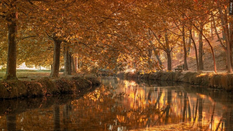 Leaf-peeping season hampered by drought: Fall foliage dropping sooner ...
