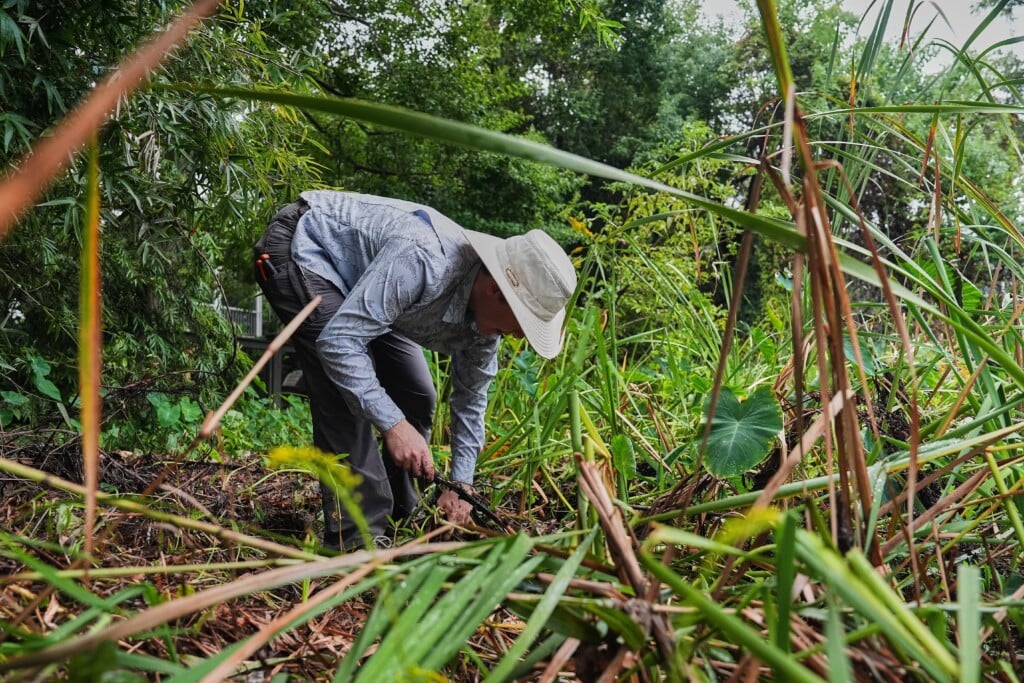 Climate Wetlands Community Restoration