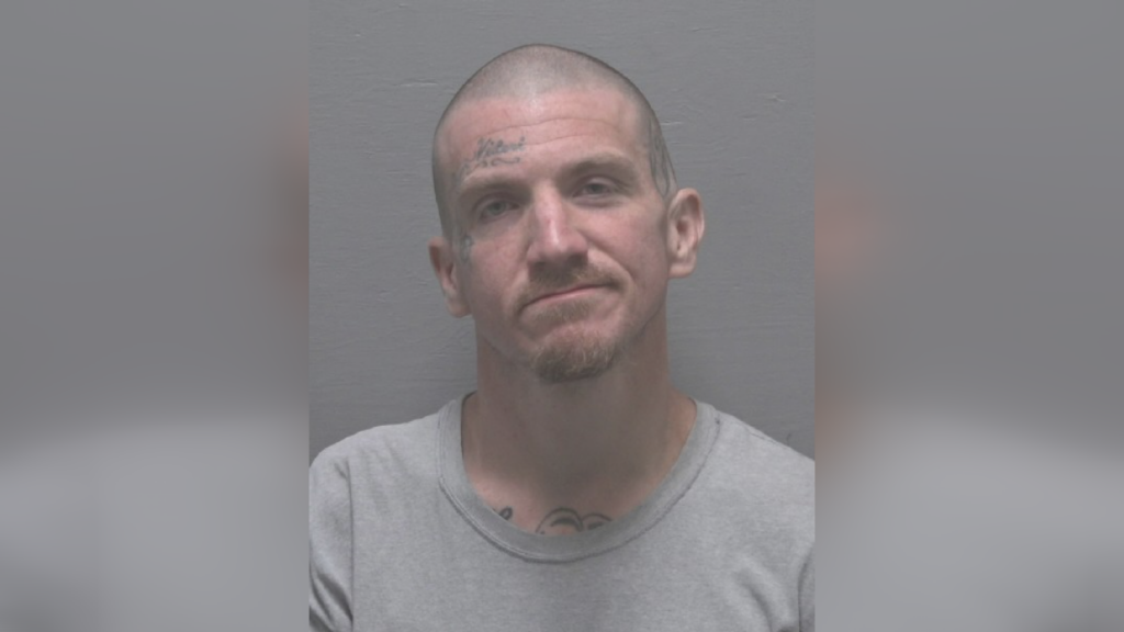 Eliot Watkins Mugshot