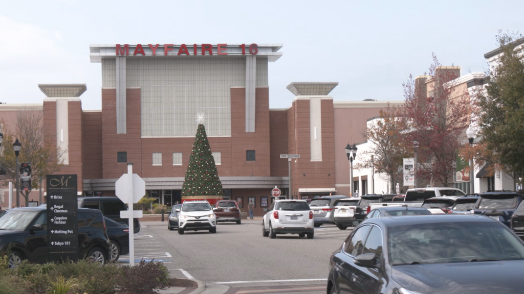 Post Xmas Shopping Pic