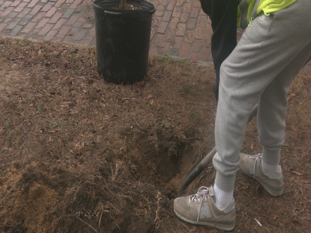 Volunteer planting tree at Northside Neighborhood