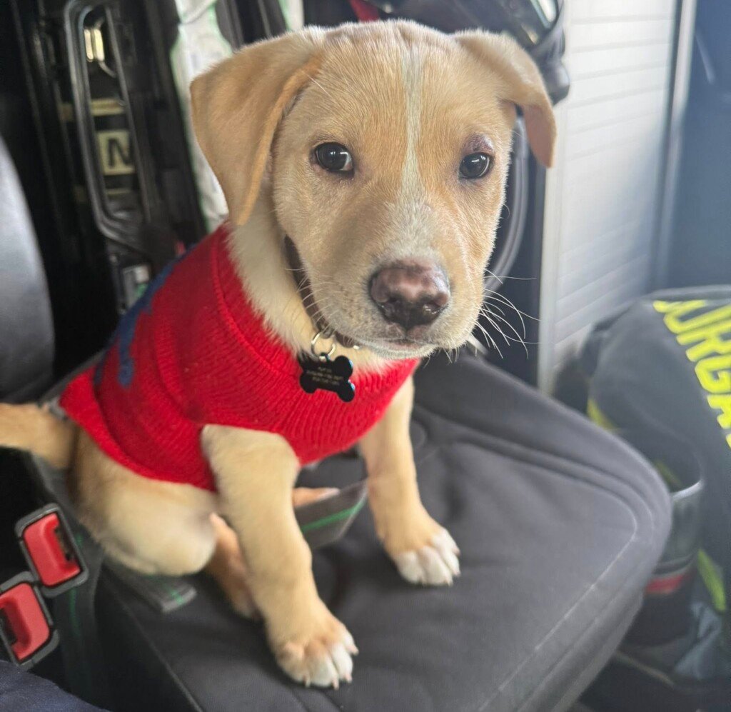 622716551 1528470992342136 6245190998375393066 N