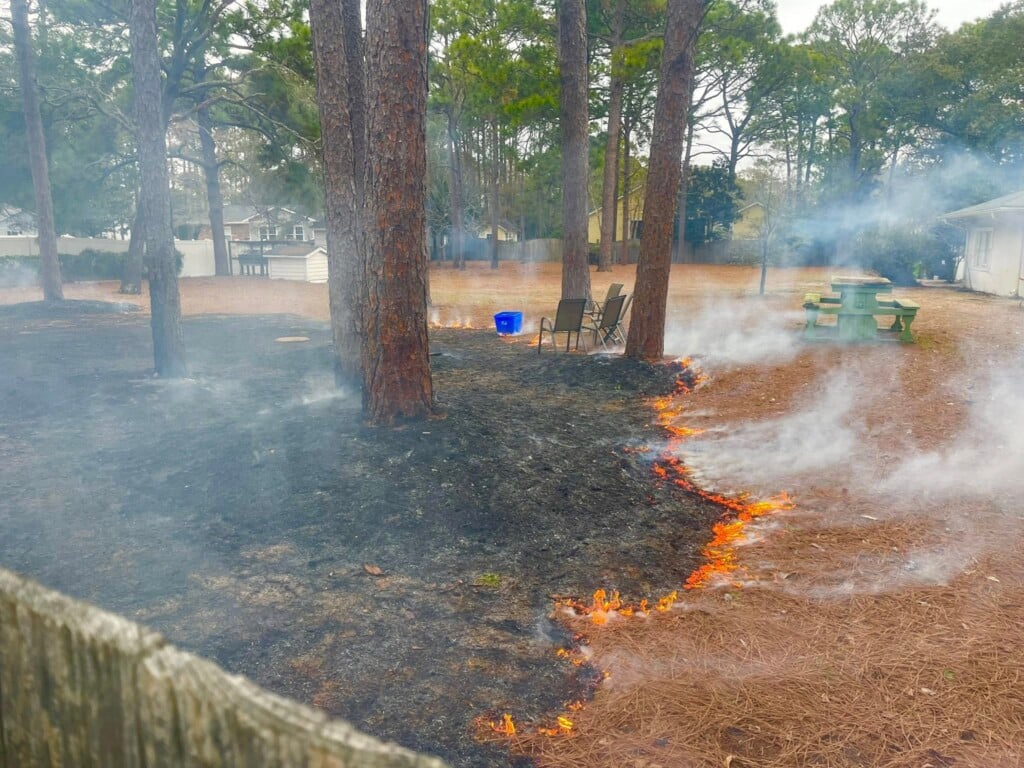 622824335 1395285769276915 1511480750709834377 N