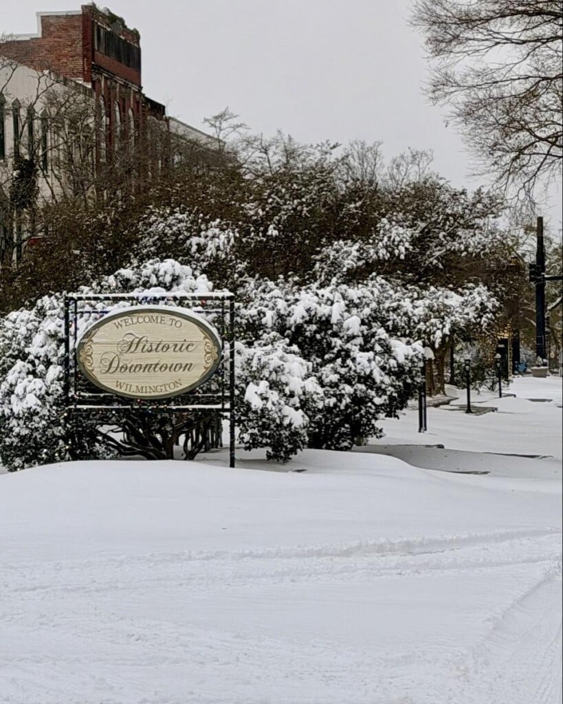 624540818 1330291562465199 4534376439276730887 N