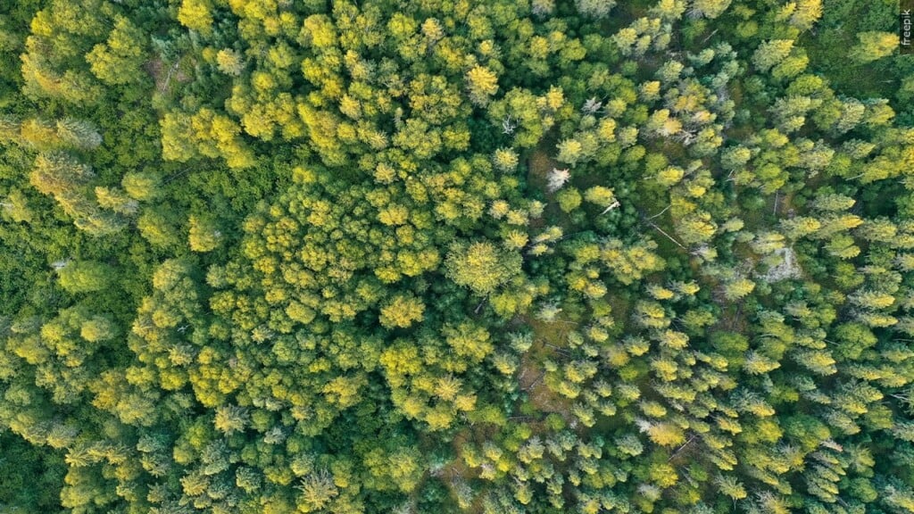 Mgn 1280x720 50321p00 Njtpc