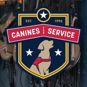 395287964 730265132471050 8510567027090992758 N