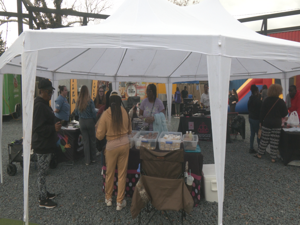 Attendants at the Black History Carnival
