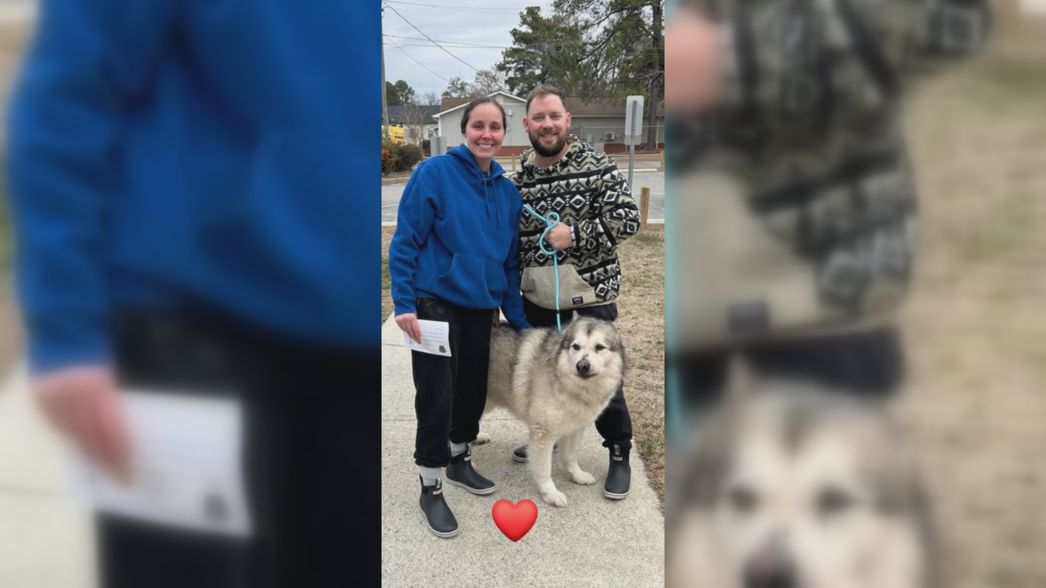 Dog reunited with owners after going missing for several years - WWAYTV3