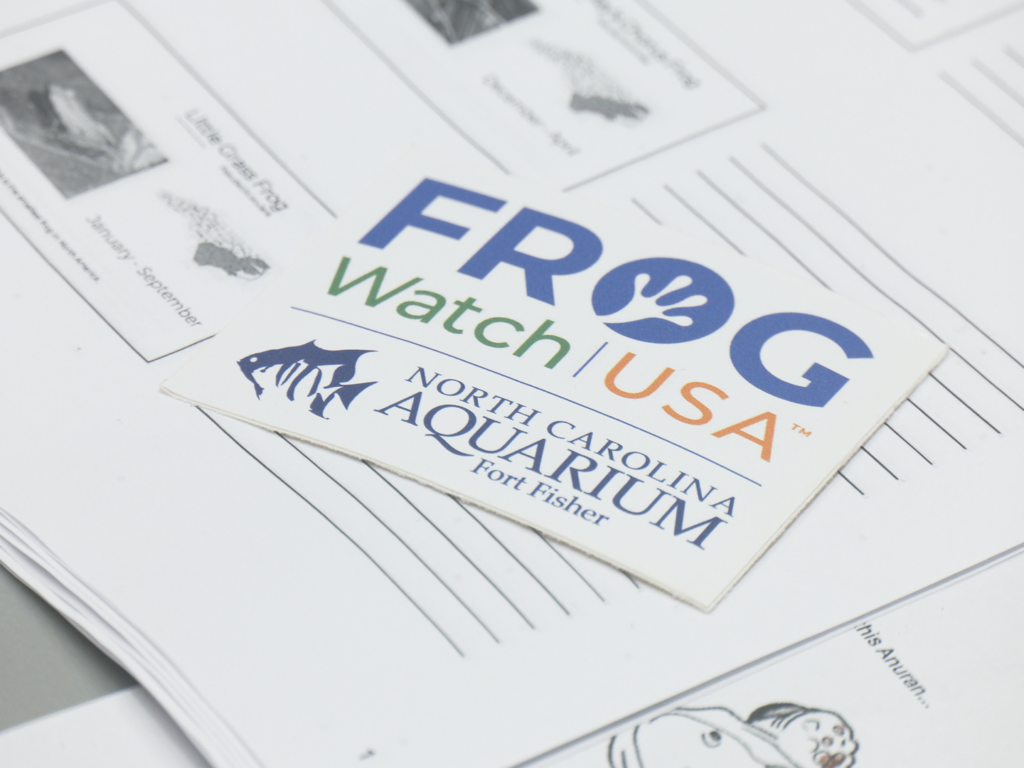 Learning about Frogs