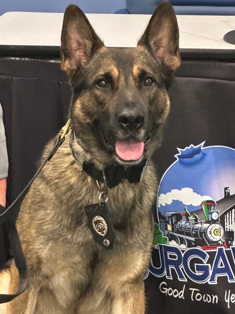 637696235 1239651034967476 5756773110336206887 N