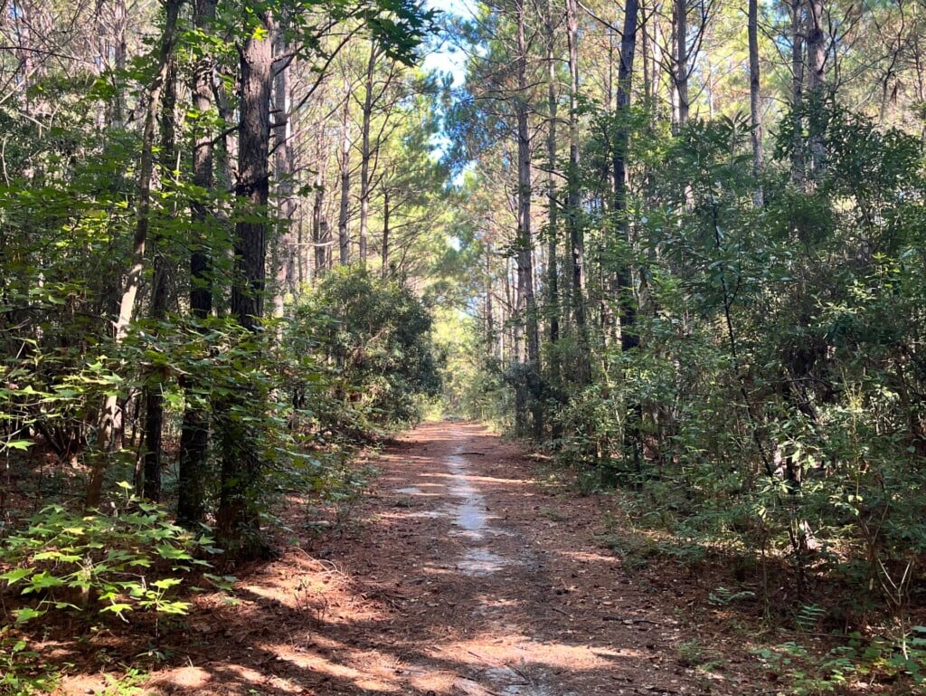 Ncclt Flossiebryan Photo1