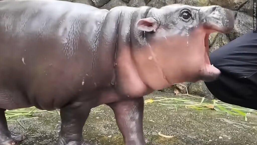 Mgn 1280x720 40924p00 Bxdhu