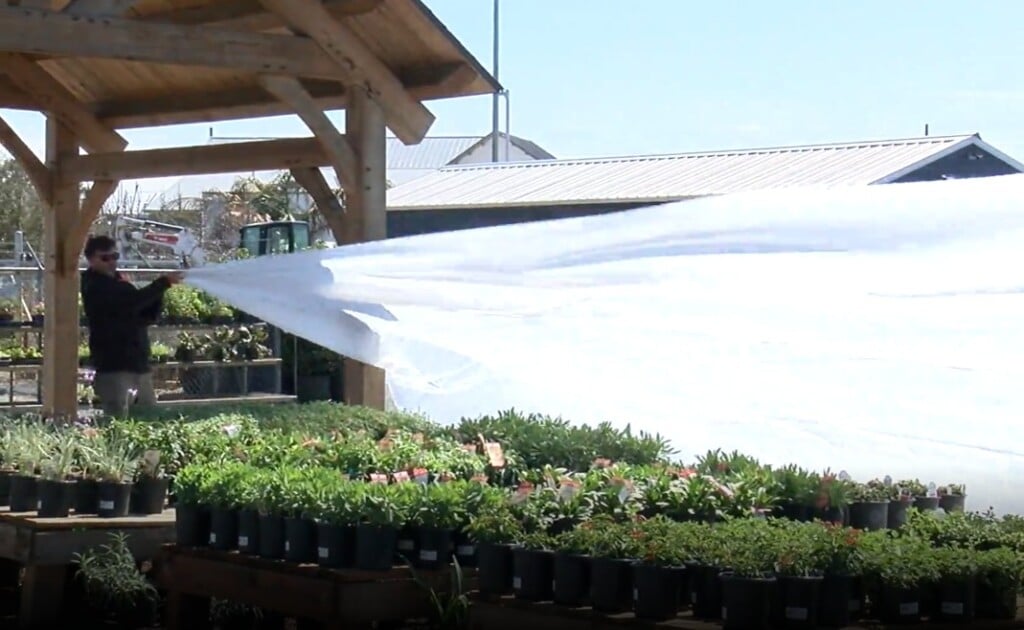 Freeze Warning Plants