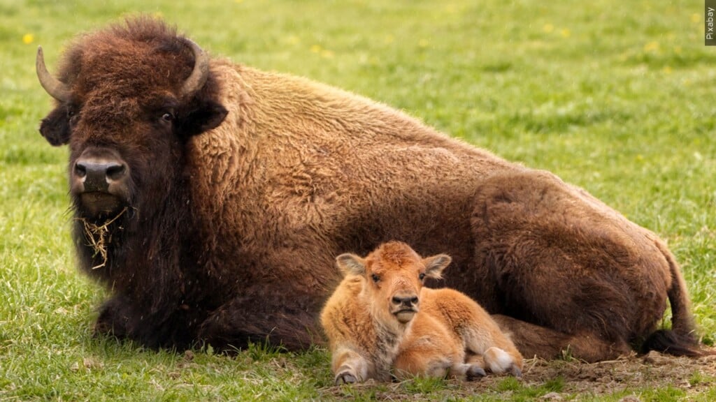 Mgn 1280x720 30720p00 Miose