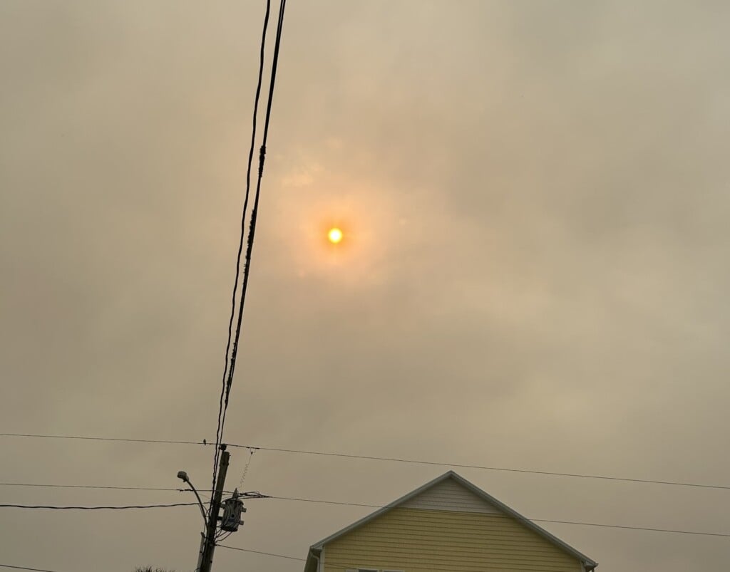 Bb81eed6 5fdf 4e72 98d9 Ae8a007a3e2c