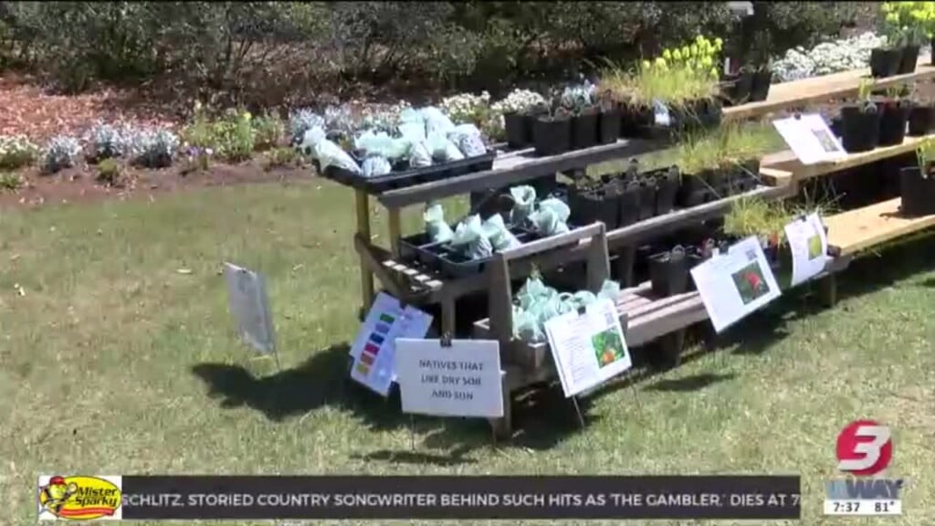 Drought And Rising Temps Threaten Plant Health