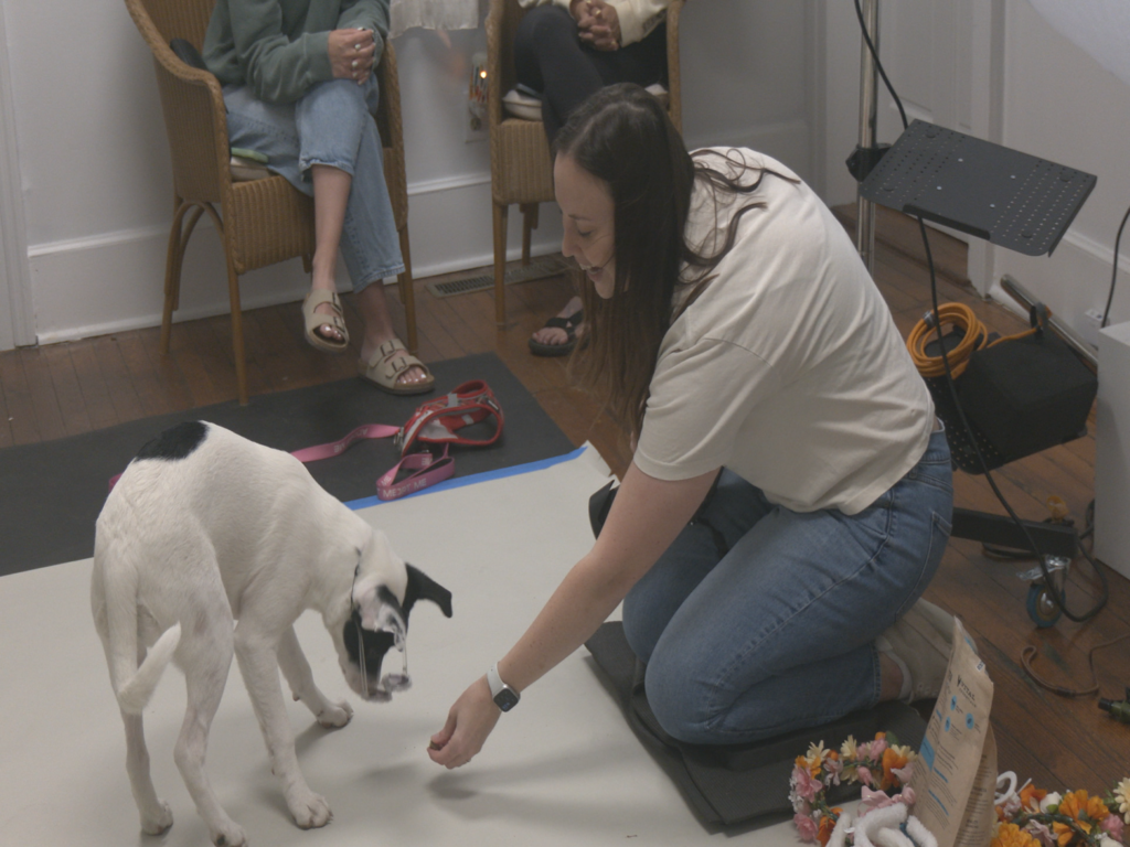 Breanna Burge taking photos of sheltered dogs