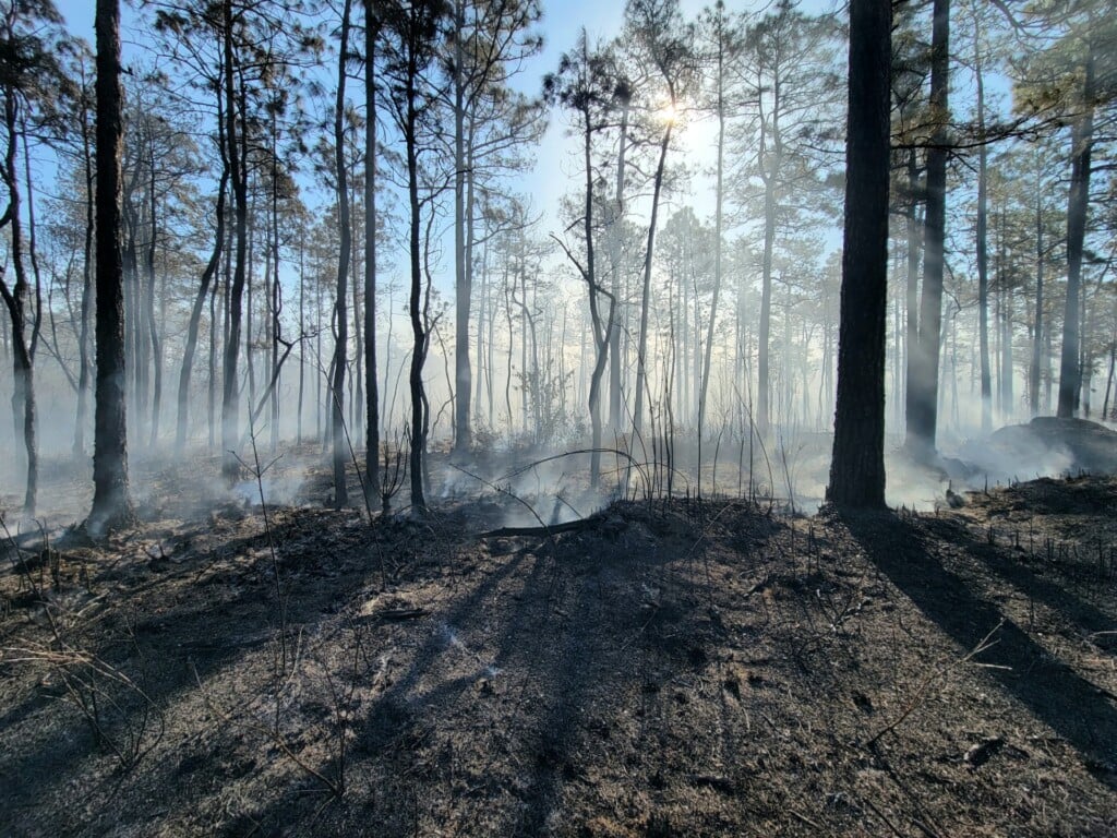 D3885305 77f8 427d 948f 5f3f2a808b83