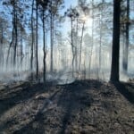 D3885305 77f8 427d 948f 5f3f2a808b83