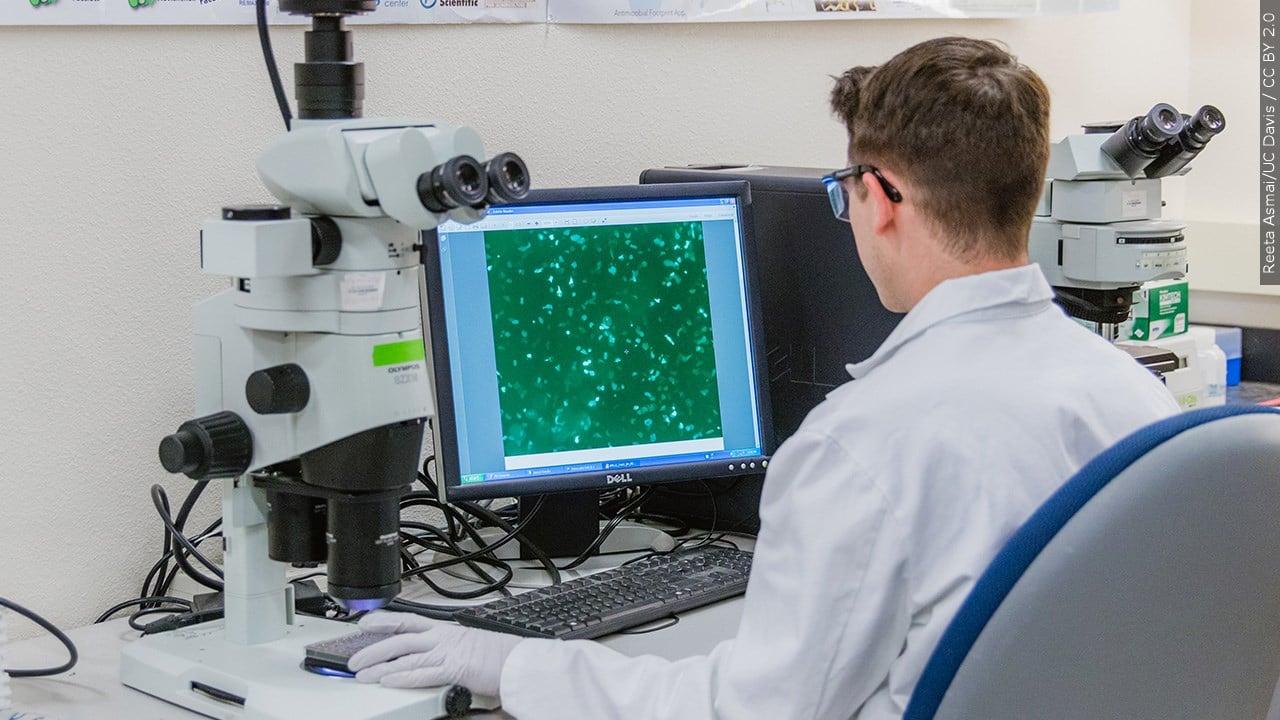 Students get hands-on career exposure in Eastern North Carolina program