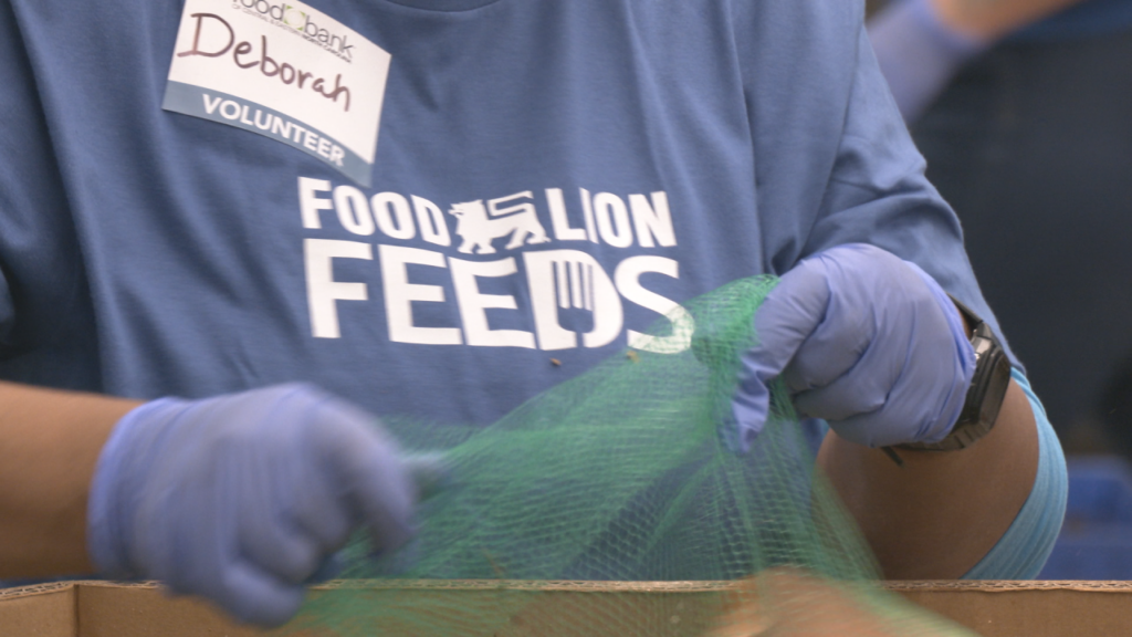 Food Lion Feeds Pic
