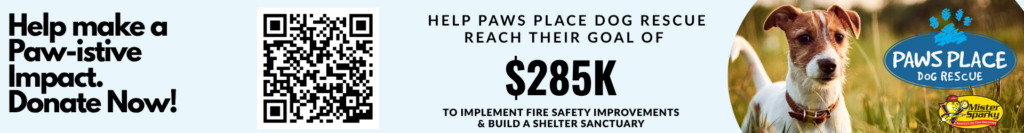 Make A Paw Istive Impact 1