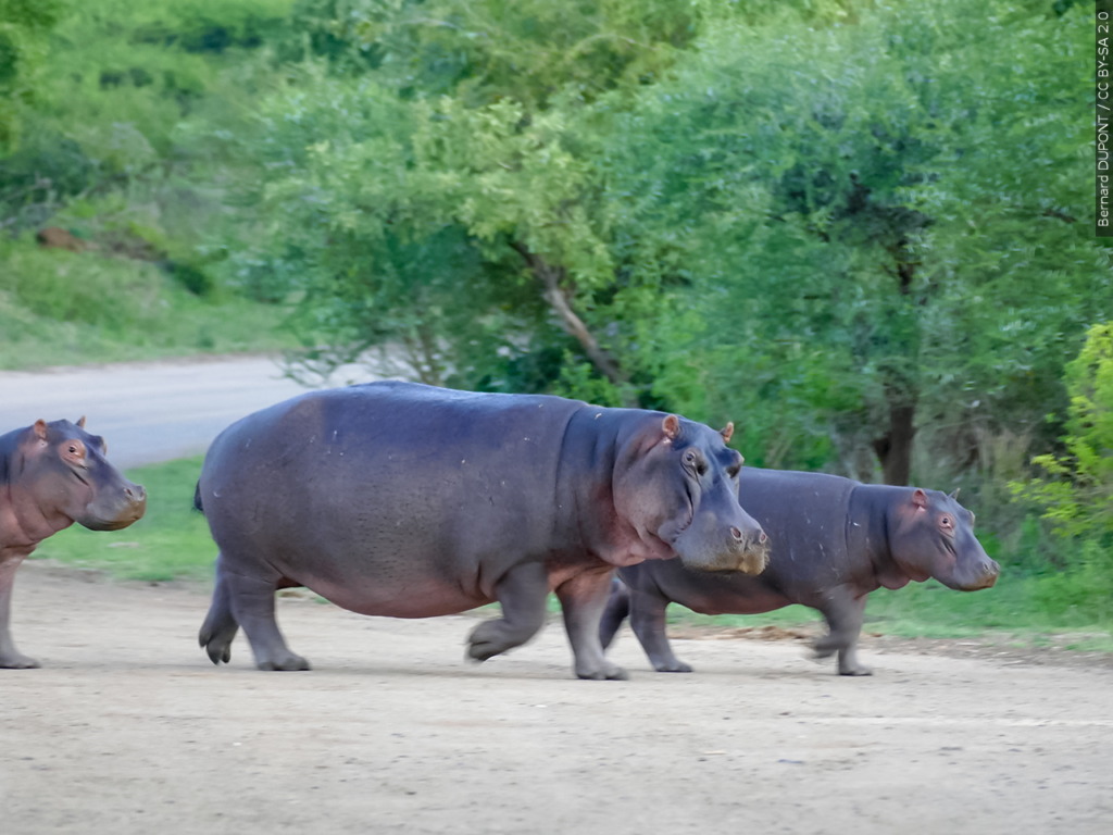 Mgn 1280x960 40215p00 Kfyed