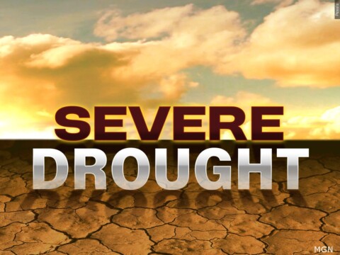 Drought intensifies across NC, 15 counties now in extreme conditions ...