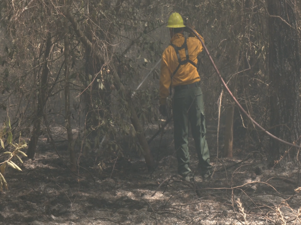 Firefighters taking out wild spots