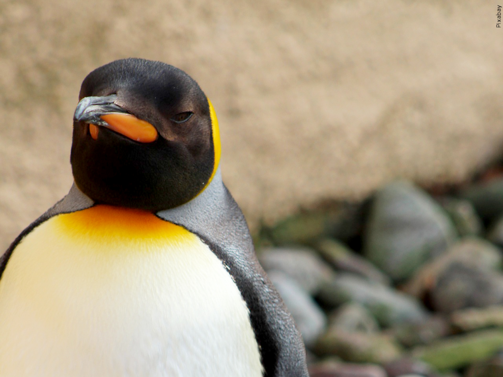 Mgn 1280x960 30120p00 Xitfo