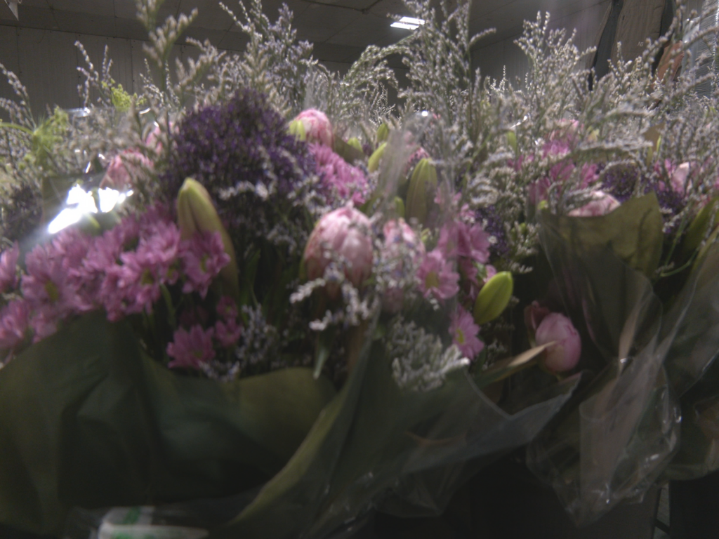 Flowers at Castle Hayne Farms