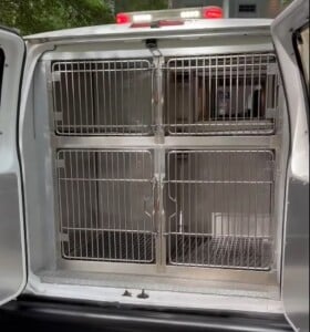 Pet Rescue Van