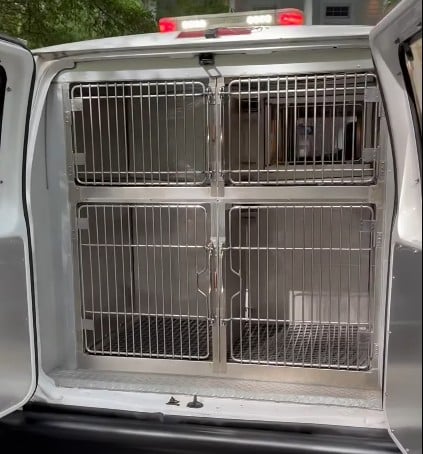 Pet Rescue Van