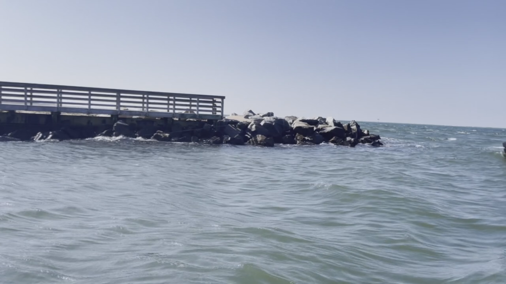 Jetty Folo