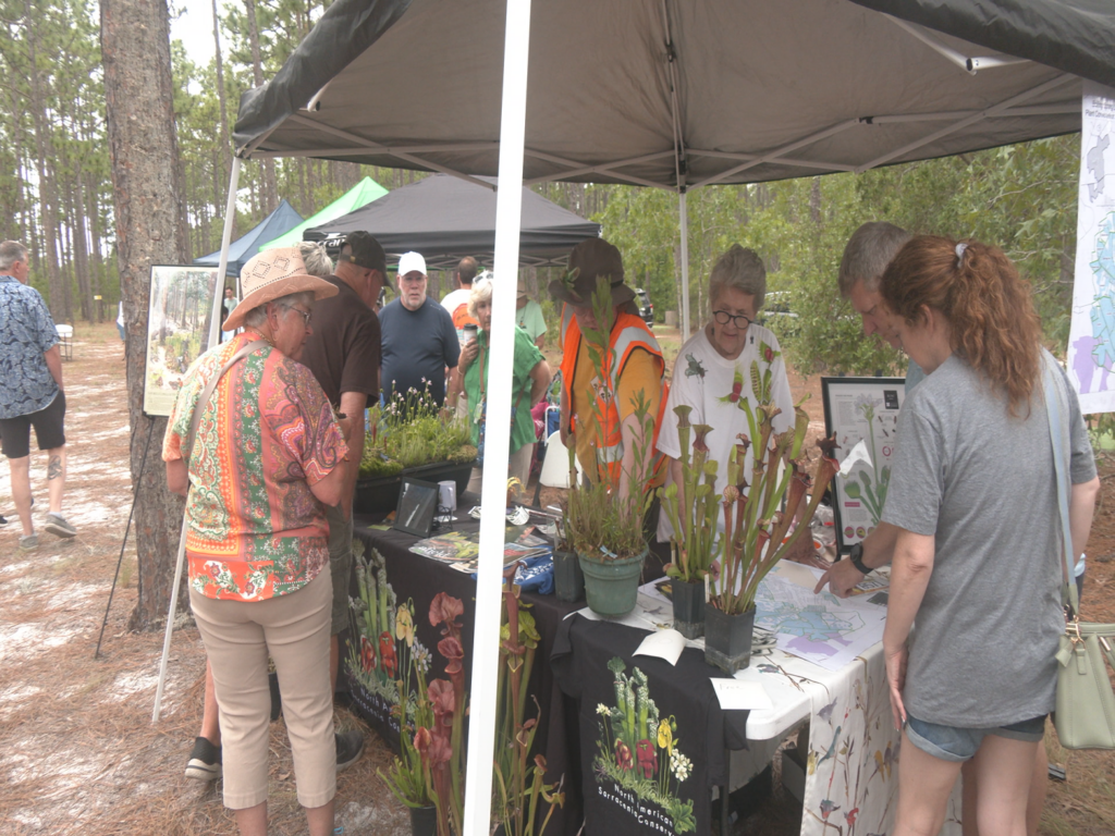 Venus Flytrap Festival at Boiling Spring Lakes