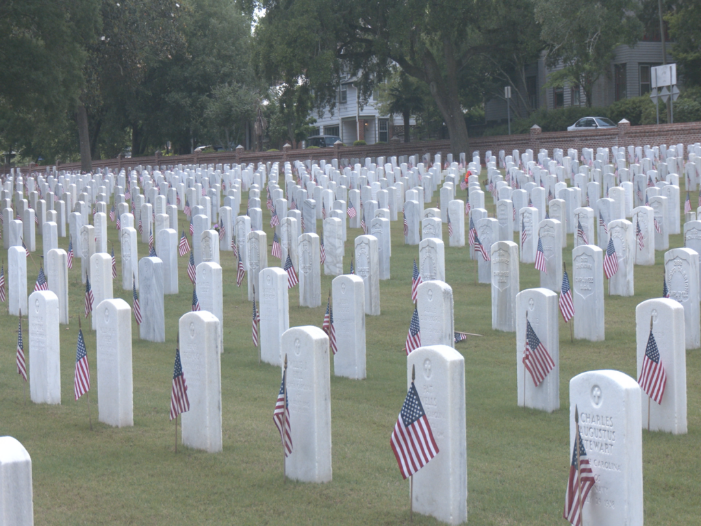 Wilmington National Cemetery