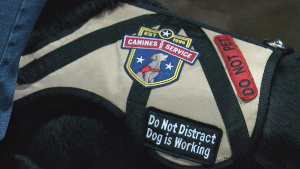 CANINES FOR SERVICE