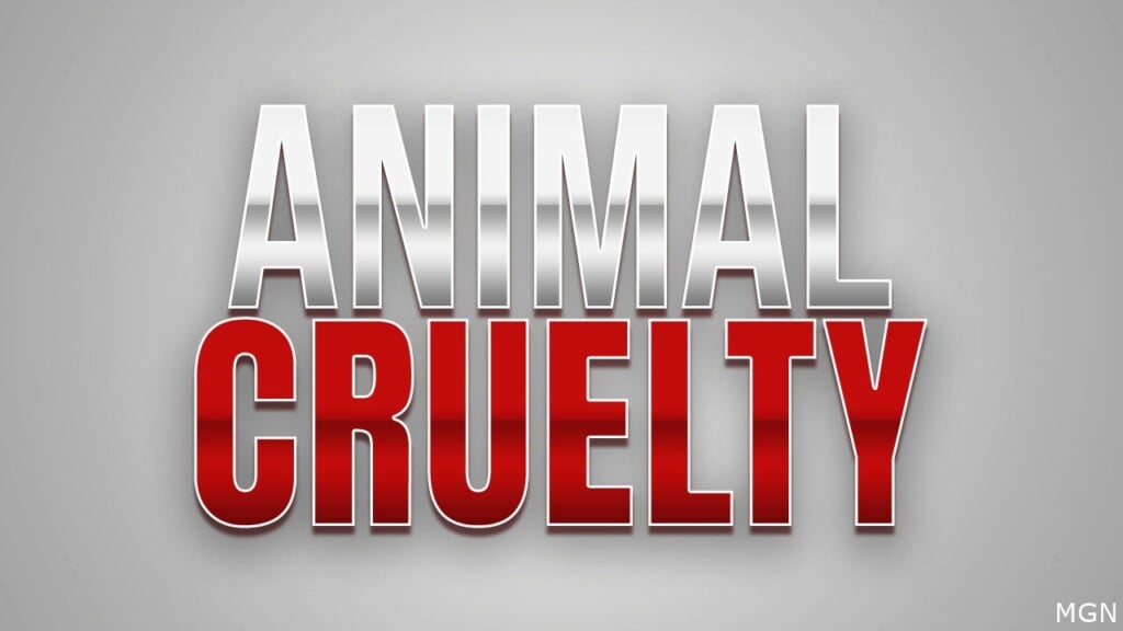 Animal Cruelty