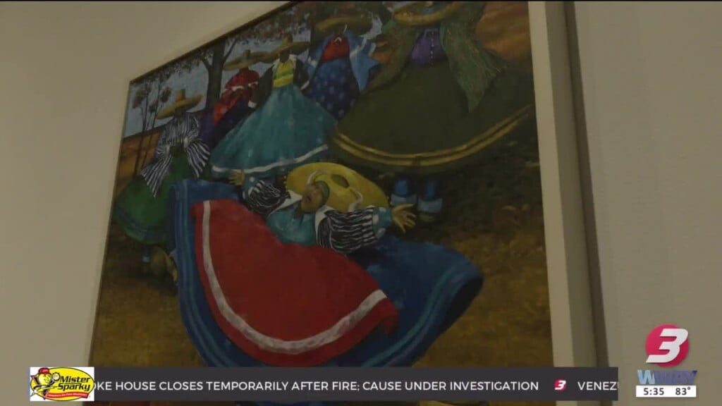 New Summer Art Exhibitions Coming To Cameron Art Museum