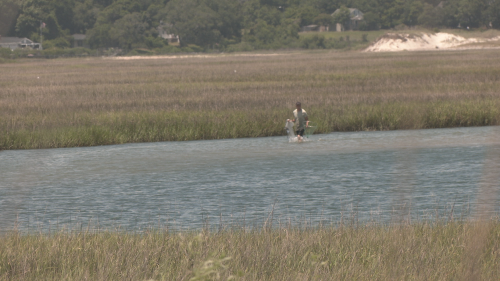 Wetland Loss