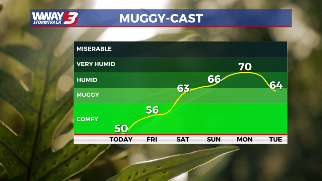 Muggy Cast